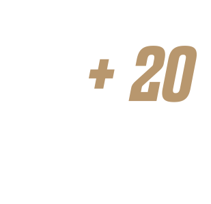 + 20 ANOS DE MERCADO